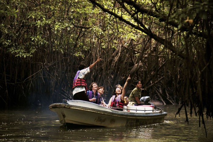 Mangrove bintan hutan ekowisata nongsa cirebon anda bakau perlu ketahui pulau sudah obyek tambah atau keindahan wajib pesona dikunjungi halal