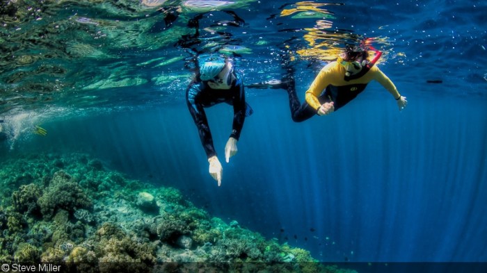Wakatobi national park islands indonesia tropical ultimate roselinde me