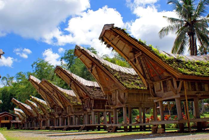 Toraja tana sulawesi wonders makale kesu kete wisata recognized guides torajan authentic adventure expedia sightseeing