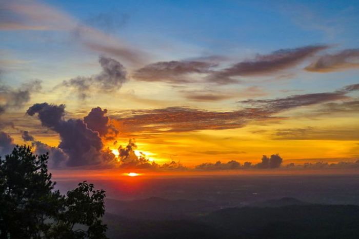 Mangunan buah kebun jogja wisata puncak becici bantul yogyakarta keindahan negeri destinasi awan loker ketinggian objek menikmati pemandangan margopost panorama