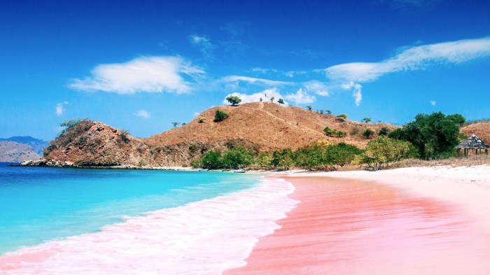 Komodo pink beach island indonesia sand beaches national park places choose board