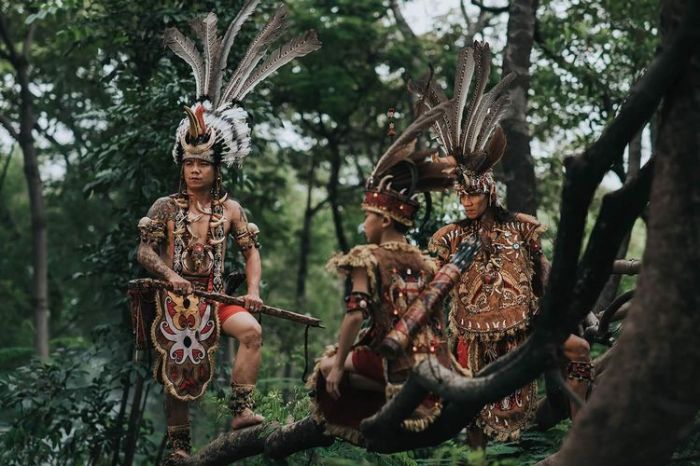 Tari dayak suku mandau kebudayaan kalimantan tengah tradisional tarian budaya seni adat daerah tradisi khas kalteng istiadat burung gerakan properti