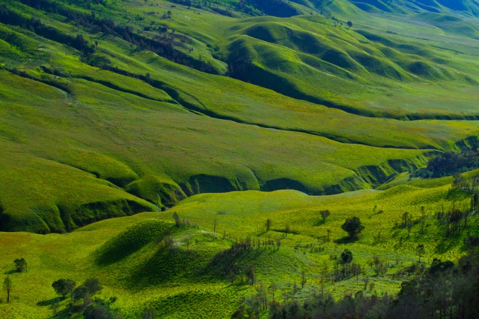 Bukit teletubbies nusa penida bromo bali blitar pesona wajib populer lokasi kunjungi bukan hanya pantai pun disini kolam keindahan reservasiku