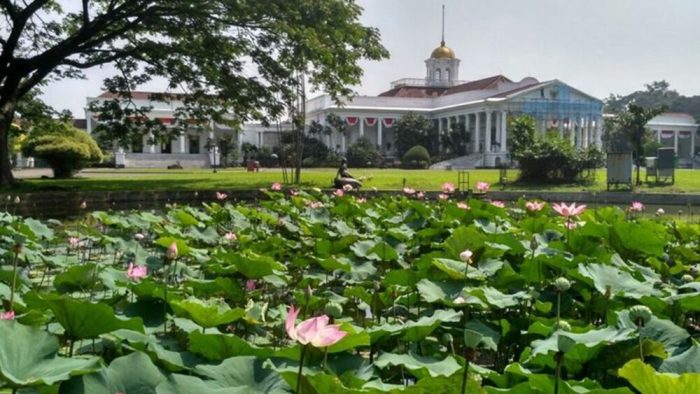 Bogor botanical twobirdsbreakingfree expansive kebun