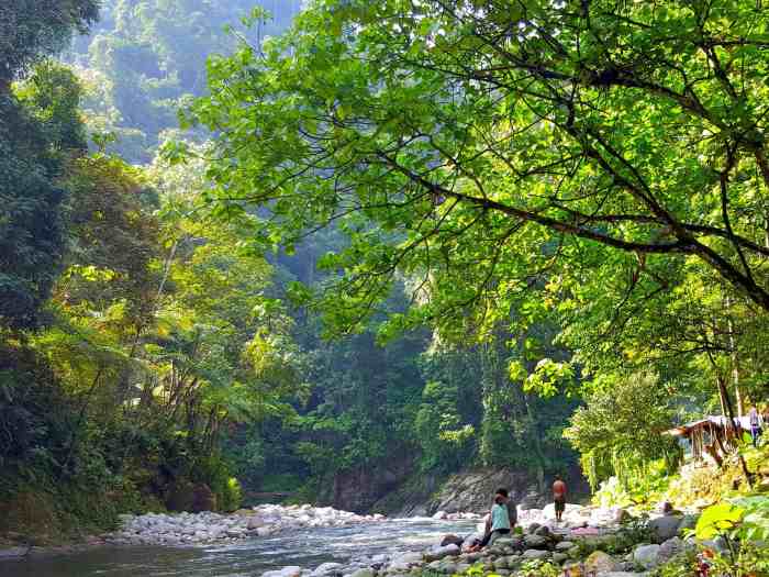 Trekking lawang bukit jungle