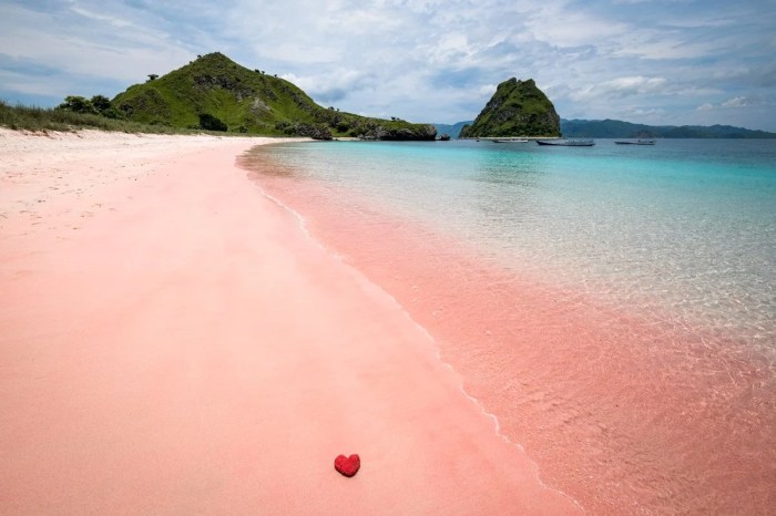 Komodo island pink beach indonesia beaches nusa tenggara east pretty pointandshootwanderlust comes when