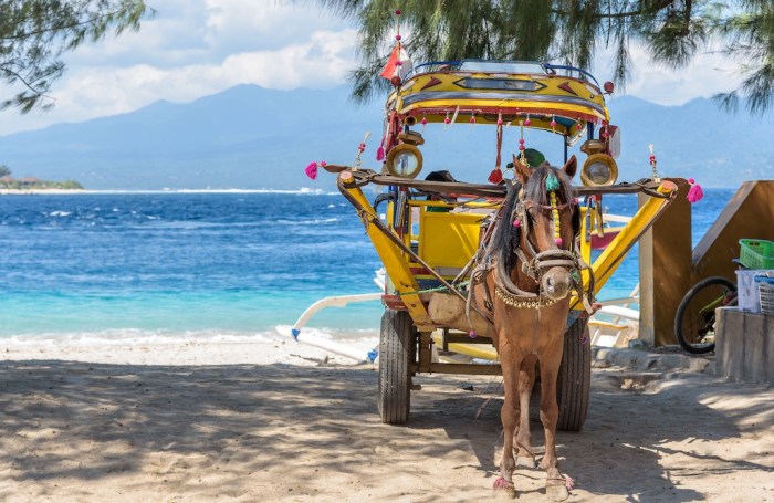 Gili trawangan lombok eilanden rondreis indonesien pferdekutsche insel cidomo combinatiereis vervoer hoe bezoeken balitravel reisprogramma noord paard brightsun reiseblog reisroutes