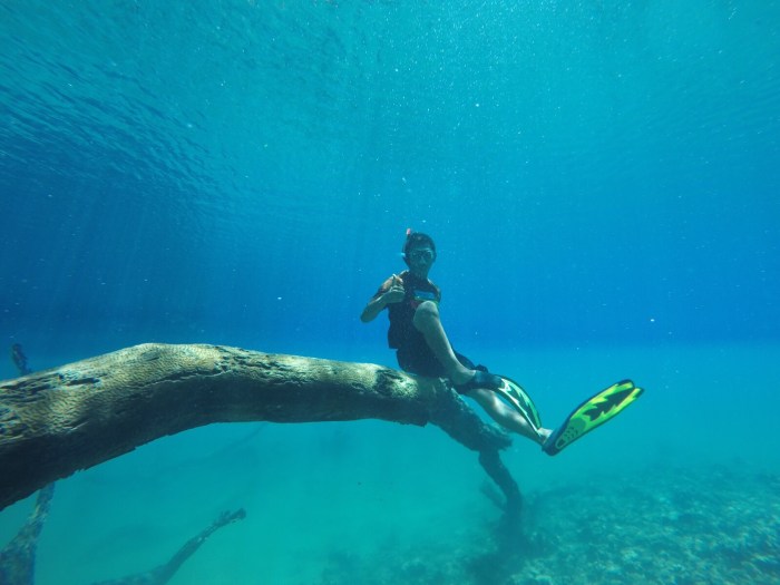 Biduk berau cermin labuan kalimantan danau cocok paling destinasi asyik zodiak untuk widodo charming derawan