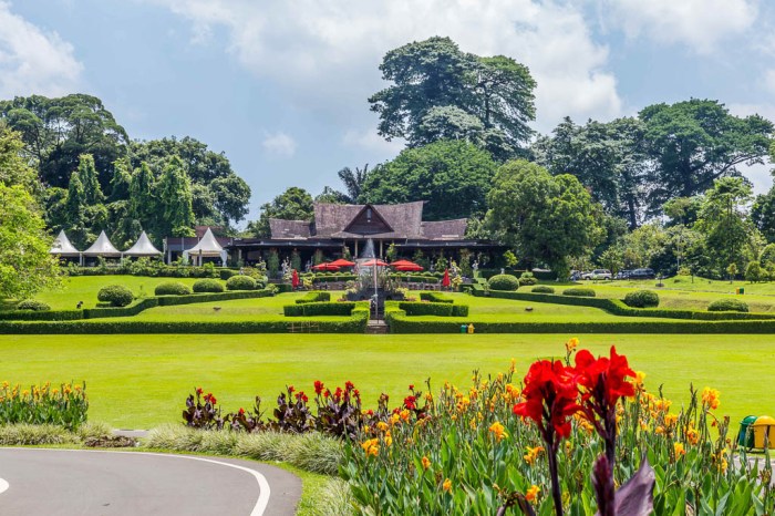 Bogor botanical indonesia garden gardens wallpaper tour palace located hd biggest tours authentic