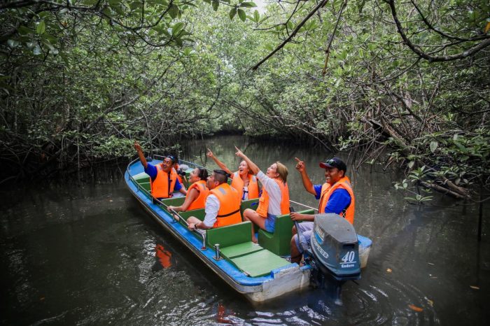 Indonesia mangrove bintan alamy island