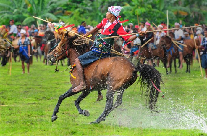 Pasola sumba fascinating tradition