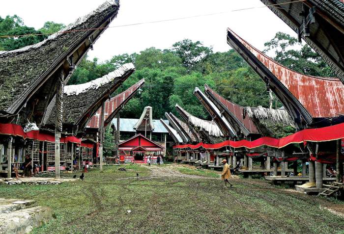 Toraja tana indonesia sulawesi village south tour day dive selayar resort