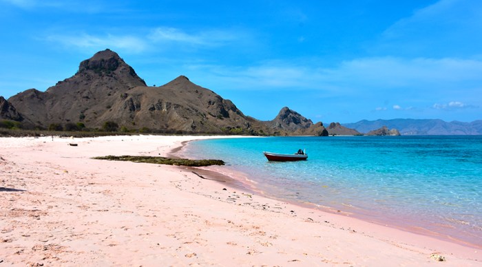 Pink komodo beach indonesia beaches tenggara nusa east authentic credit