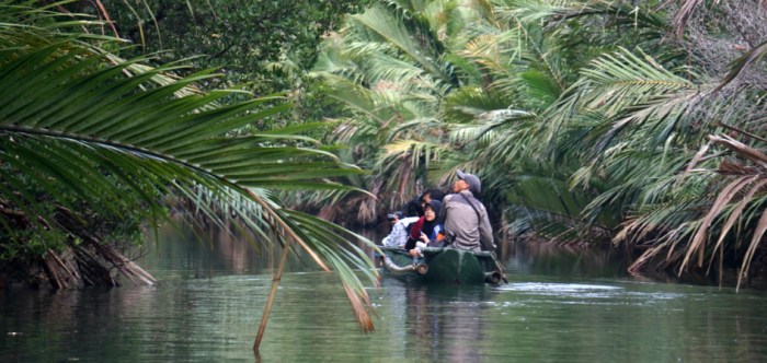 Ujung kulon park national javan indonesia rhinos chance discoveryourindonesia