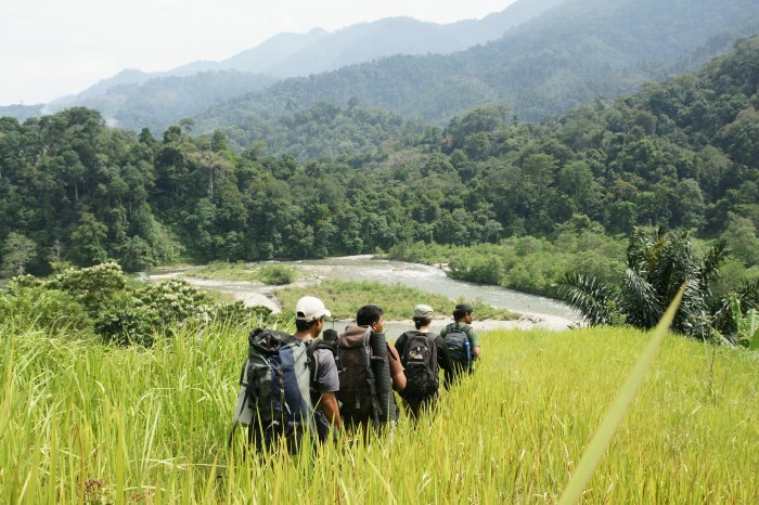 Leuser gunung nasional taman yang wisata kemegahan authentic sumatra tamasya