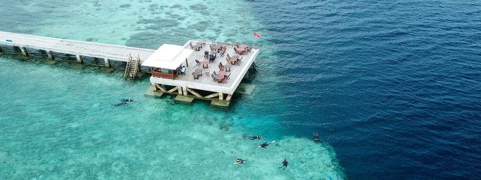 Wakatobi island snorkeling scuba dive sulawesi sawa pulau