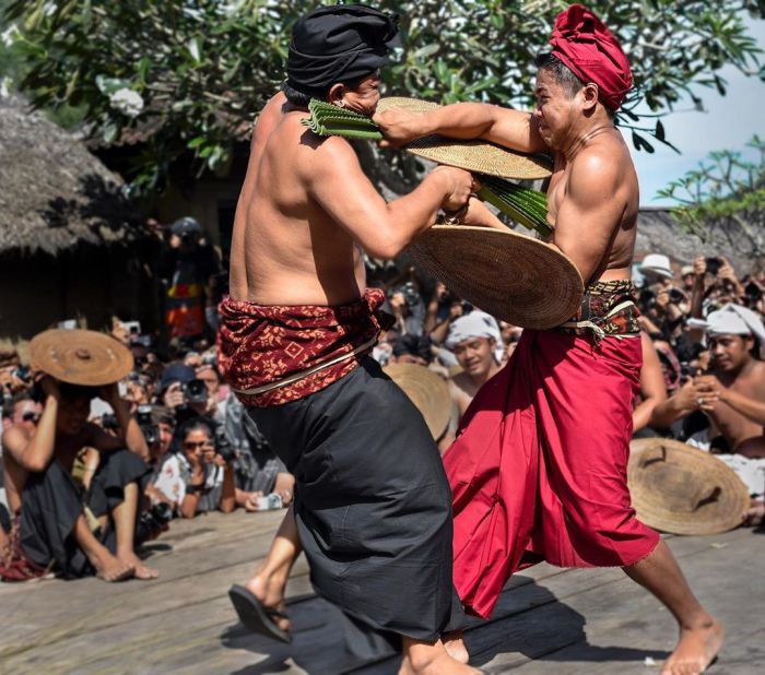 Perang pandan tenganan visit aga typically practiced