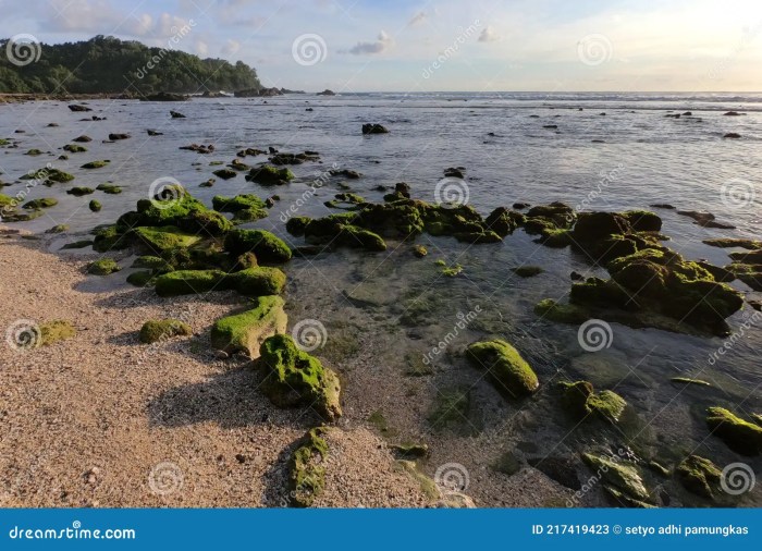 Keajaiban Alam di Pantai Wediombo, Gunungkidul