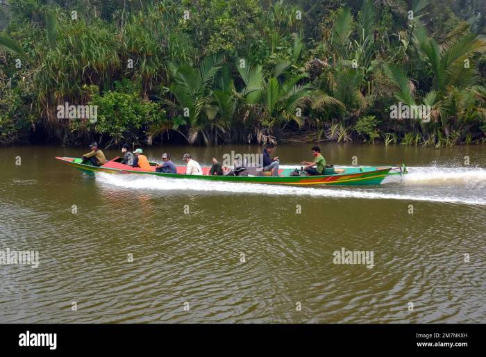 Klotok borneo kalimantan boats orangutan authentic