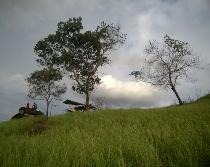 Bukit twa palangka raya alam