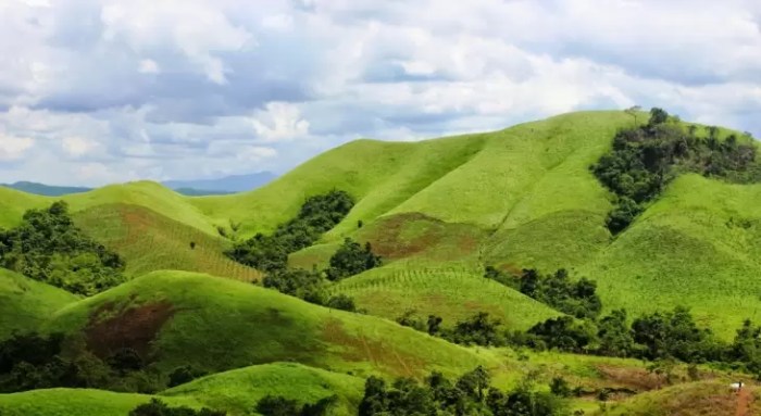 Bromo teletubbies