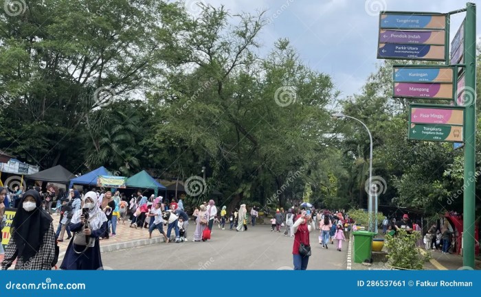 Zoo ragunan jakpost jakarta guide peak holidays condition animals display during