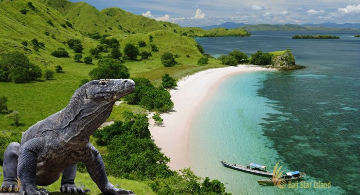 Komodo dragon island eating national park fish hd comodo wonders share wallpapers biggest