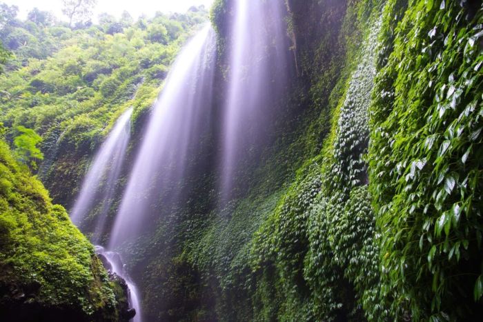 Madakaripura probolinggo