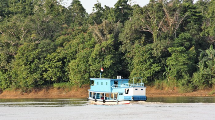 Mahakam river