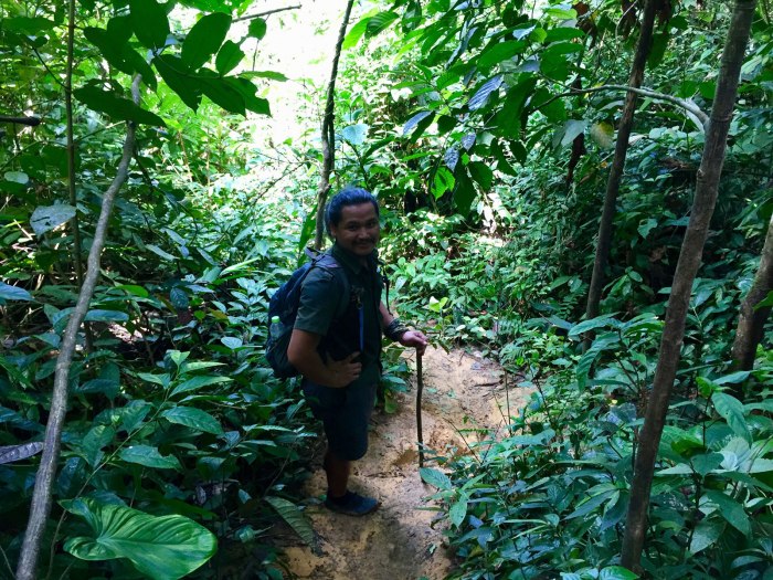 Jungle sumatra trekking lawang bukit ecotravel trek short hike