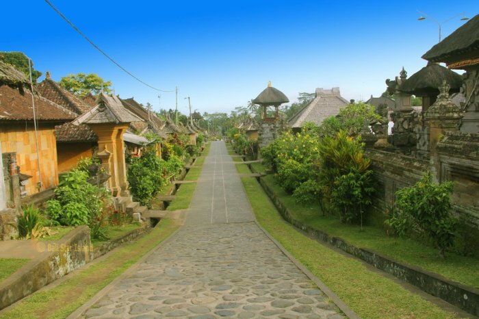 Penglipuran bangli preserved tourists desa