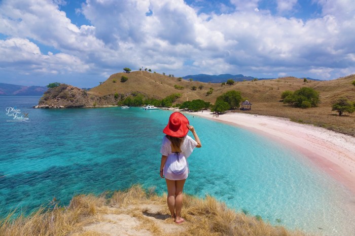 Pink beach komodo island indonesia welcome