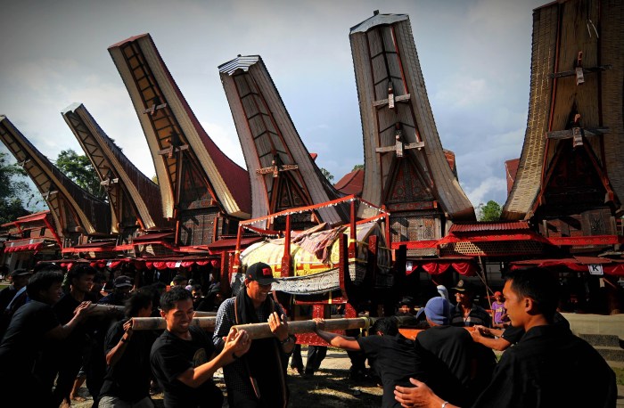 Toraja tongkonan adat tana sulawesi makassar landscape sangalla intrepid funerals unveils burial royals suaya