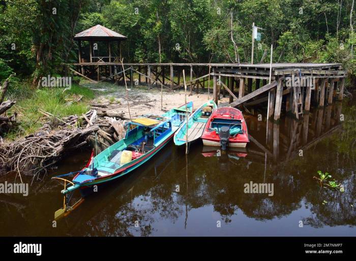 Barat borneo kotawaringin kalimantan puting