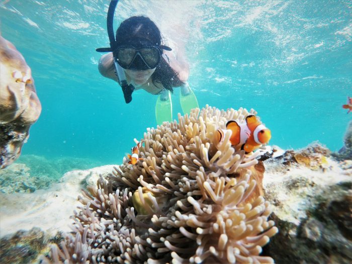 Snorkeling karimunjawa java islands central junkie travel