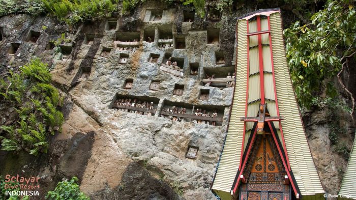 Toraja sulawesi tana indonesia