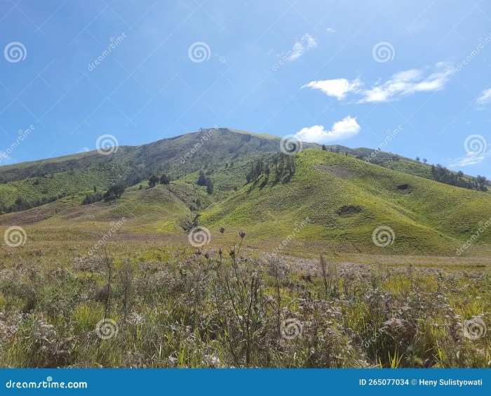 Bromo teletubbies