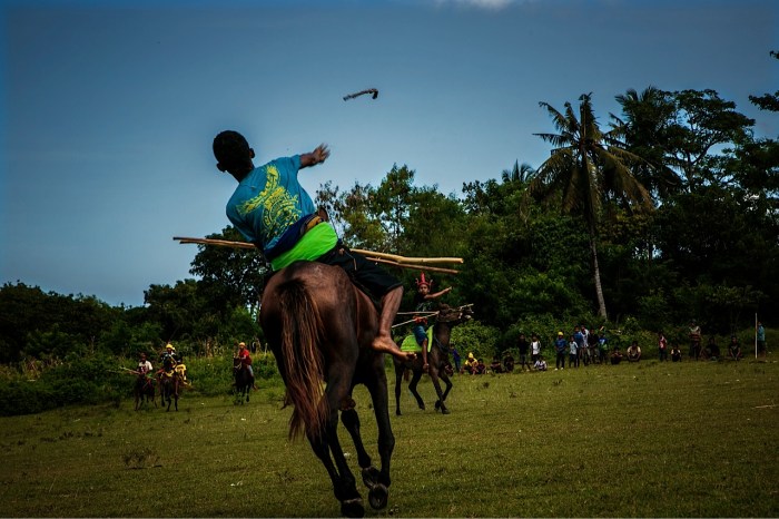 Pasola festival sumba indonesia his warrior reload clan spears fly member during help