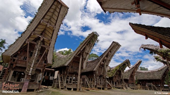 Toraja tana sulawesi makassar daerah kunjungi menarik utara suku budaya