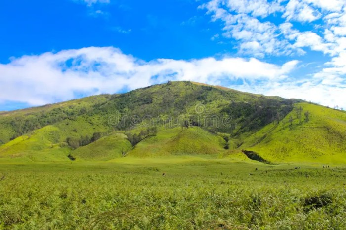 Bromo mount catches teletubbies hill light antara java probolinggo east tempo